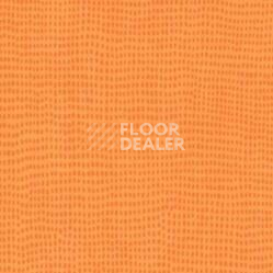 Линолеум Taralay Initial Comfort 0600 Clementine фото 1 | FLOORDEALER